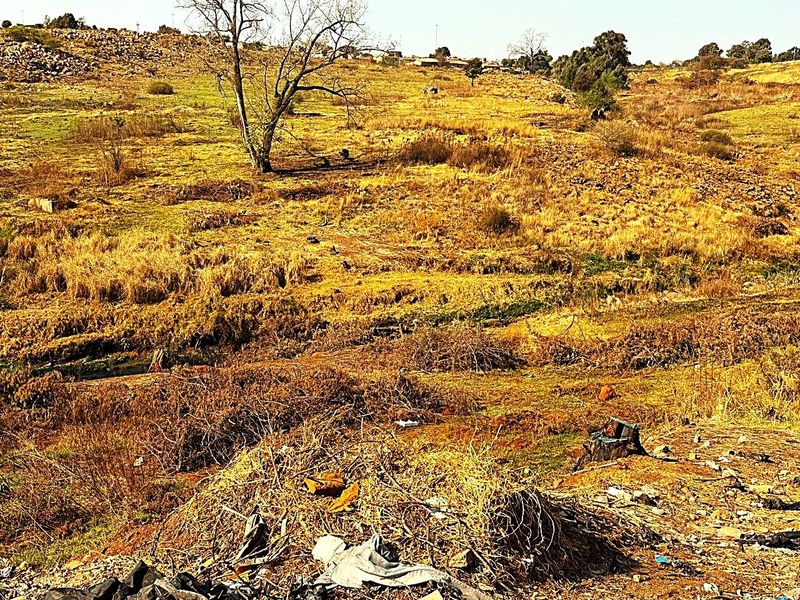 An expansive, undeveloped residential plot featuring natural terrain, mature trees, and significant overgrowth requiring clearing.