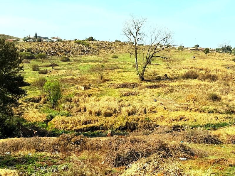 A wide-angle view of an expansive, undeveloped residential land plot featuring natural grassland, scattered vegetation, and a mature tree.