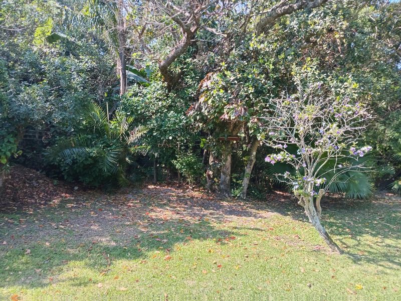 Space, Privacy and Possibilities - A Wonderful Family Home Near Dolphin Bay - Photo 6