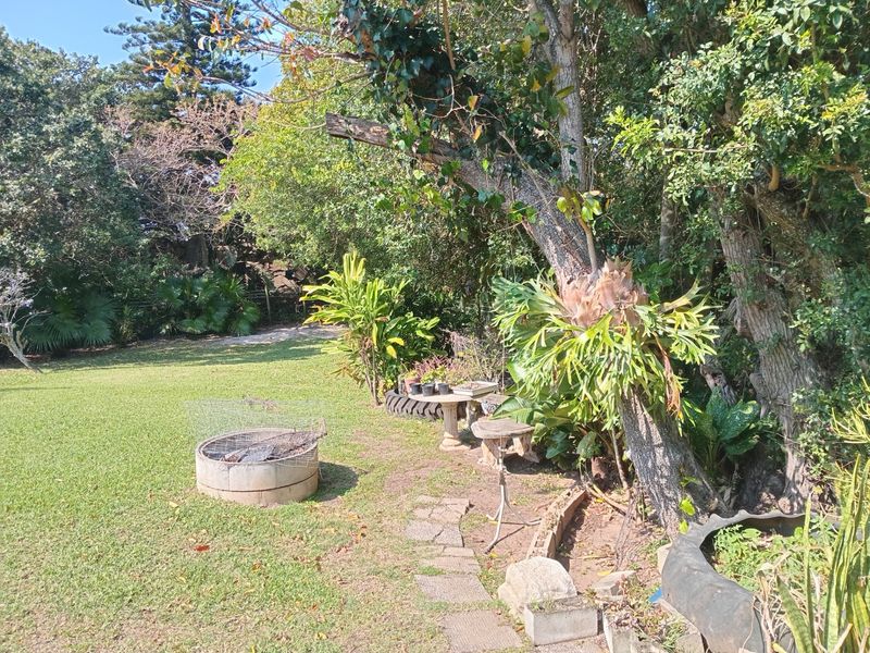 Space, Privacy and Possibilities - A Wonderful Family Home Near Dolphin Bay - Photo 4