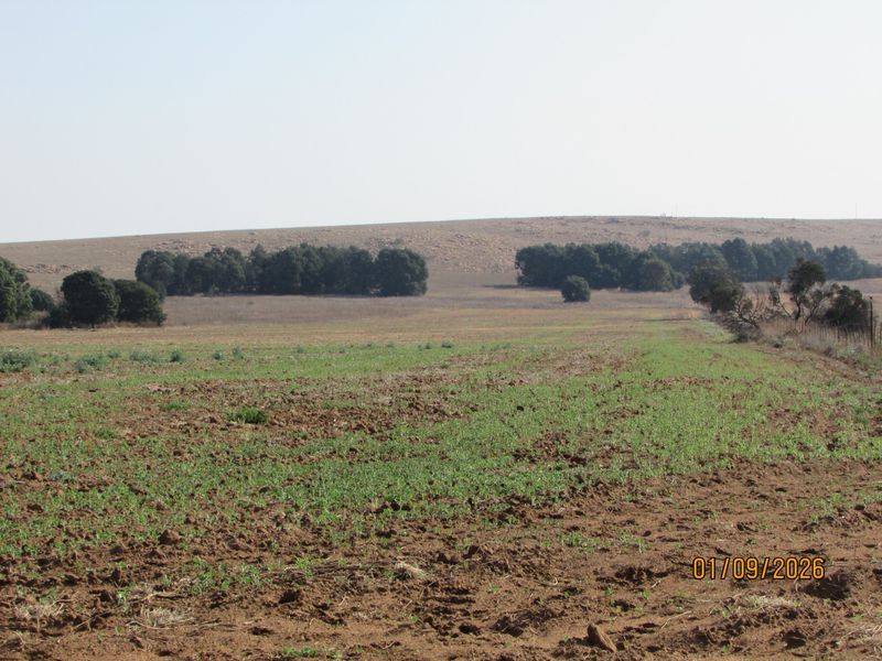 Farm For Sale in Cultura Park, Bronkhorstspruit - Photo 2