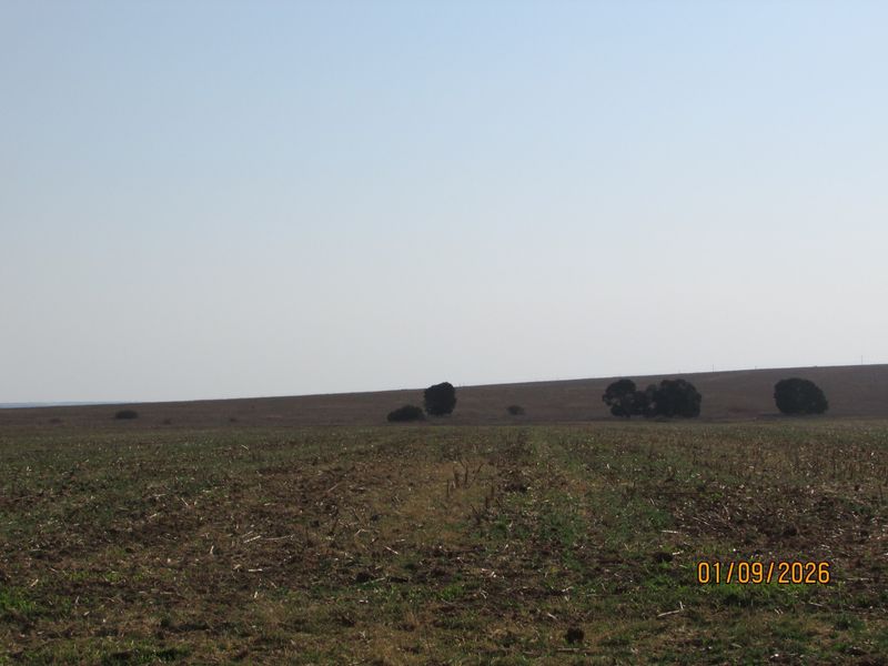 Farm For Sale in Cultura Park, Bronkhorstspruit - Photo 7