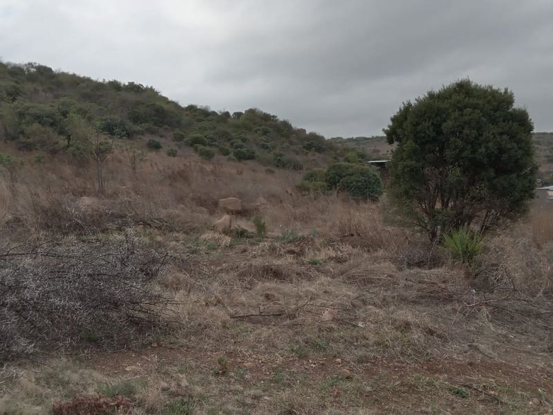 A view of the vacant residential land featuring natural sloped terrain and native vegetation under an overcast sky.