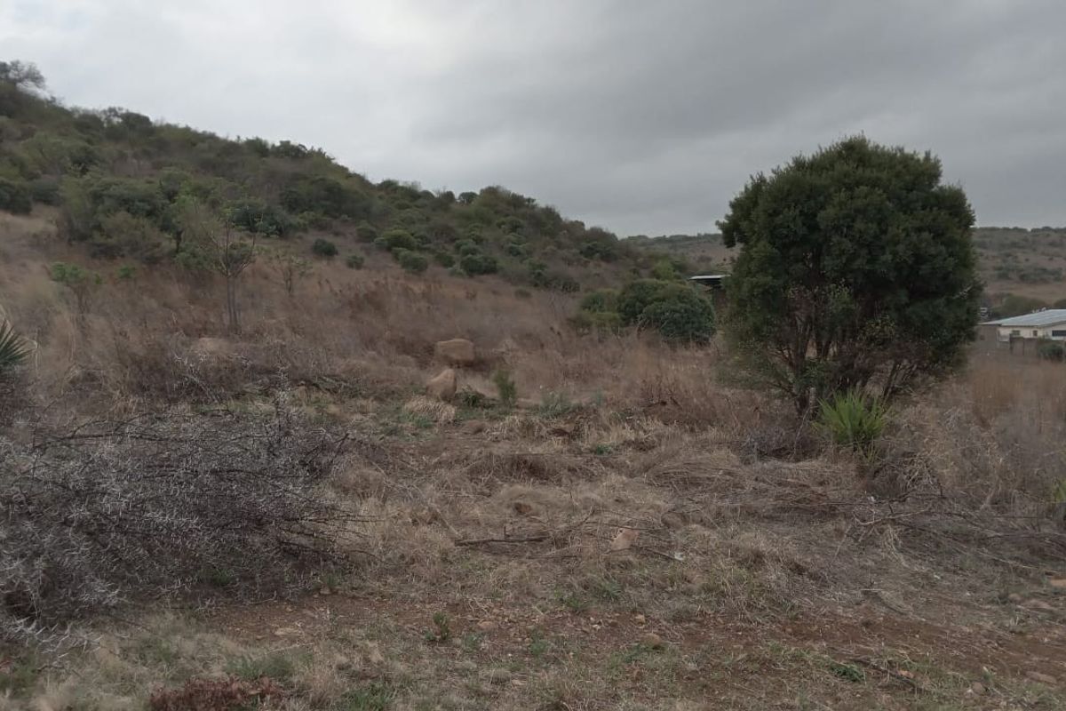 A view of the vacant residential land featuring natural sloped terrain and native vegetation under an overcast sky.
