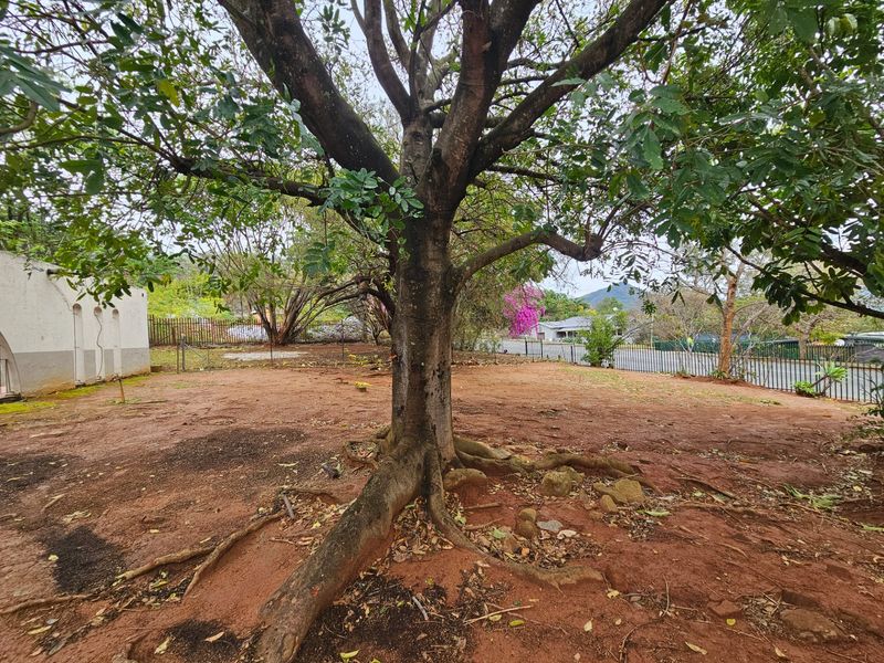 A spacious, undeveloped garden area featuring a large mature tree and perimeter fencing, offering significant potential for landscaping and outdoor improvement.