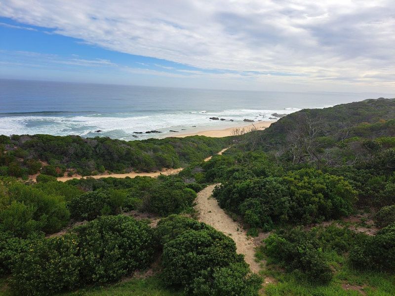 A scenic elevated view of the coastline featuring natural coastal vegetation and a sandy path leading towards the beach.
