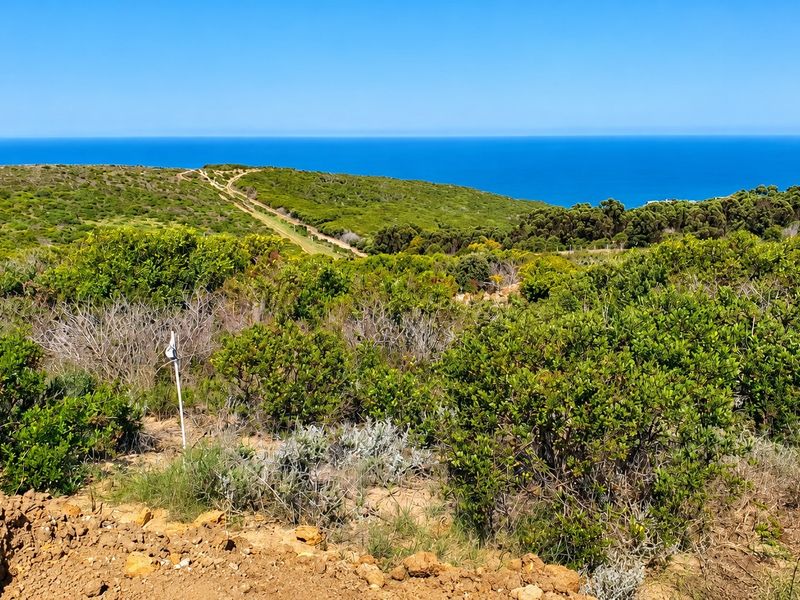 A scenic view of the coastal landscape featuring native vegetation and an expansive ocean horizon.