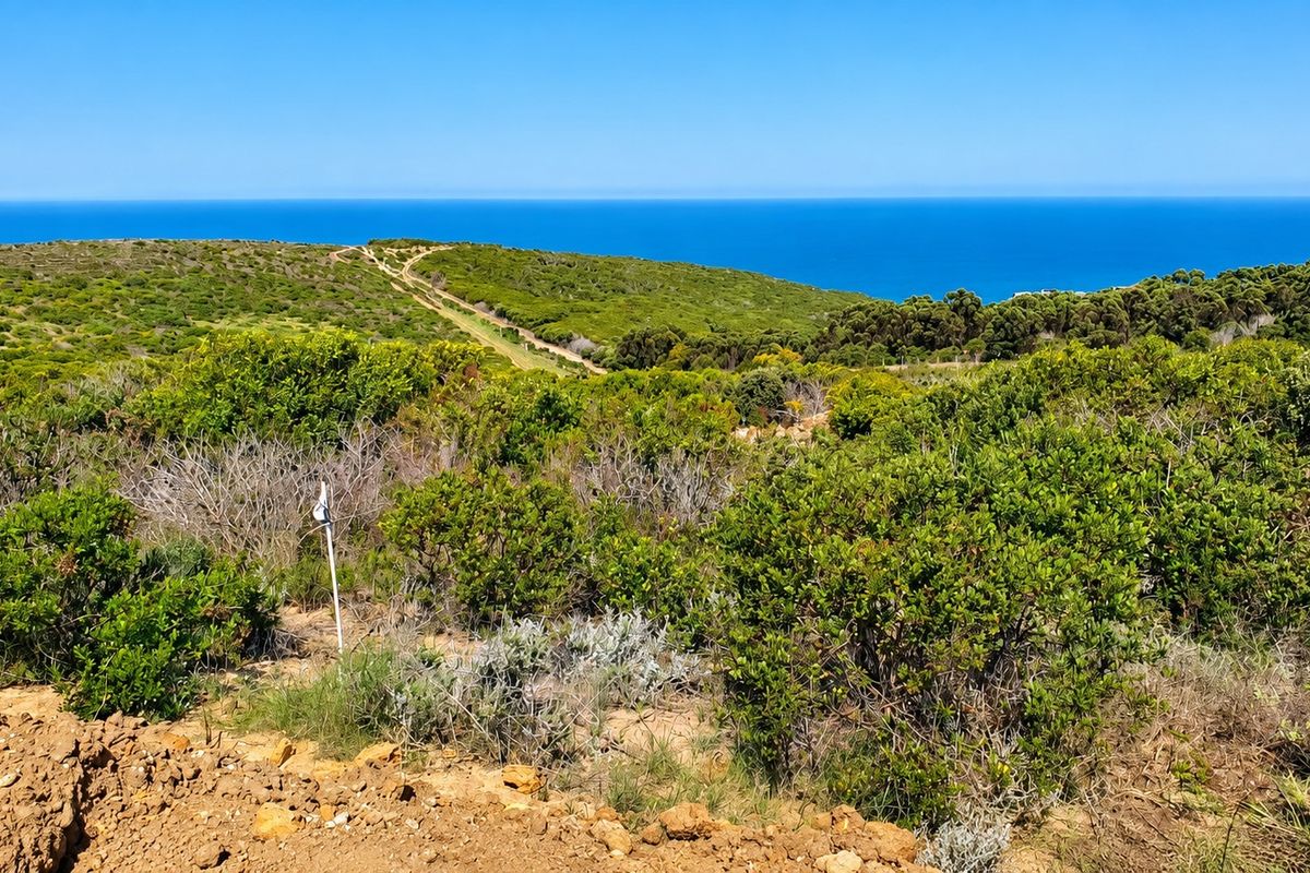 A scenic view of the coastal landscape featuring native vegetation and an expansive ocean horizon.