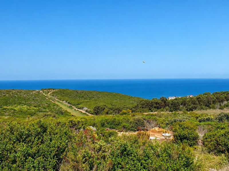 A scenic view of the coastal landscape featuring natural vegetation and an expansive ocean horizon.