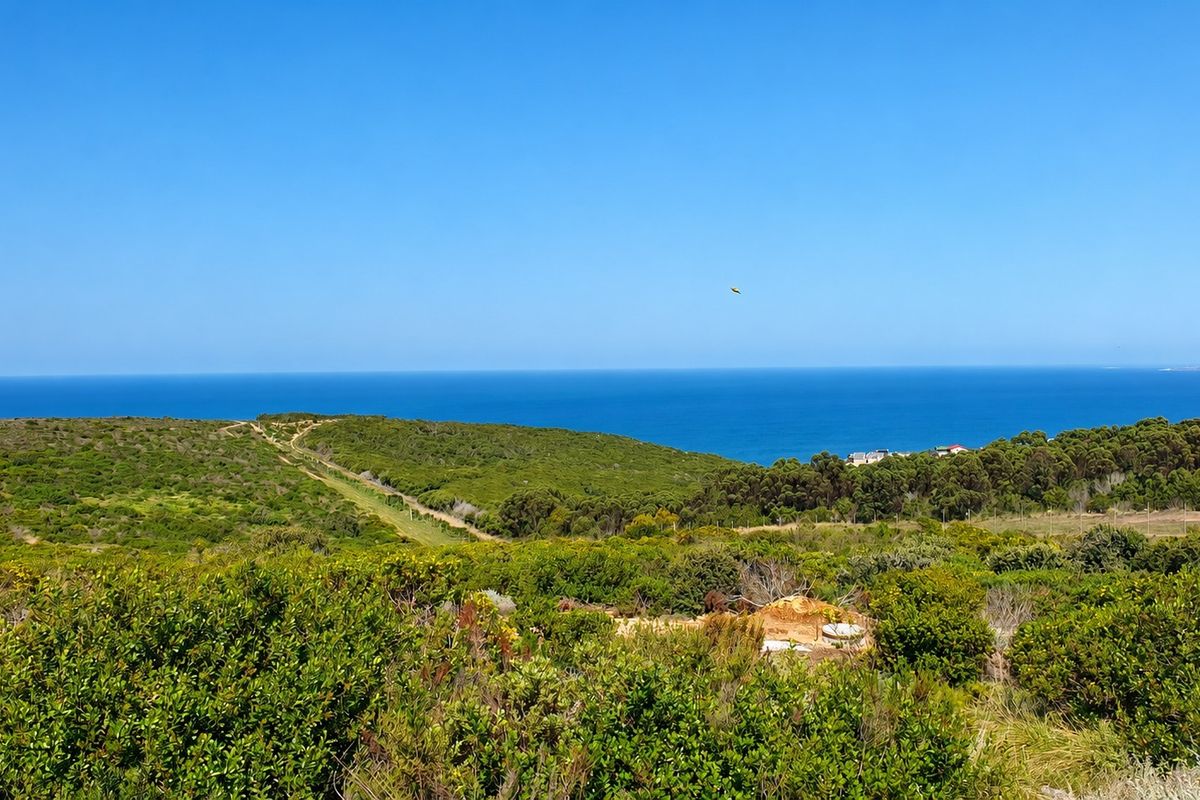A scenic view of the coastal landscape featuring natural vegetation and an expansive ocean horizon.