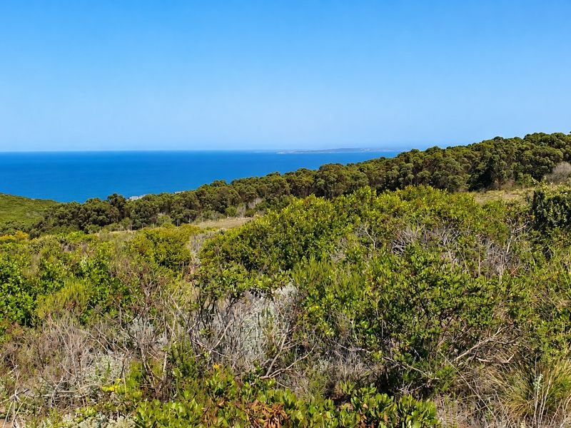 A scenic view of the coastal landscape featuring native vegetation and an expansive ocean horizon.