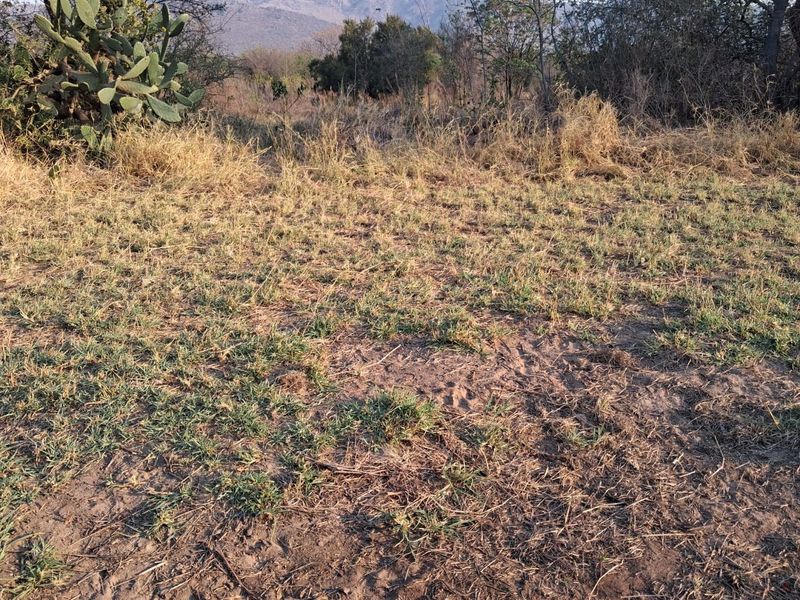 An open, undeveloped area of the small holding featuring natural dry grass and indigenous vegetation with a mountain backdrop.