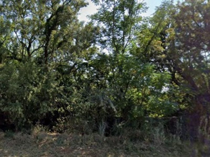 A view of a densely wooded area with mature trees and natural vegetation on the property grounds.