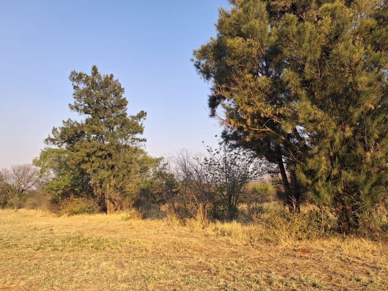A view of the natural landscape and mature trees on the small holding property.