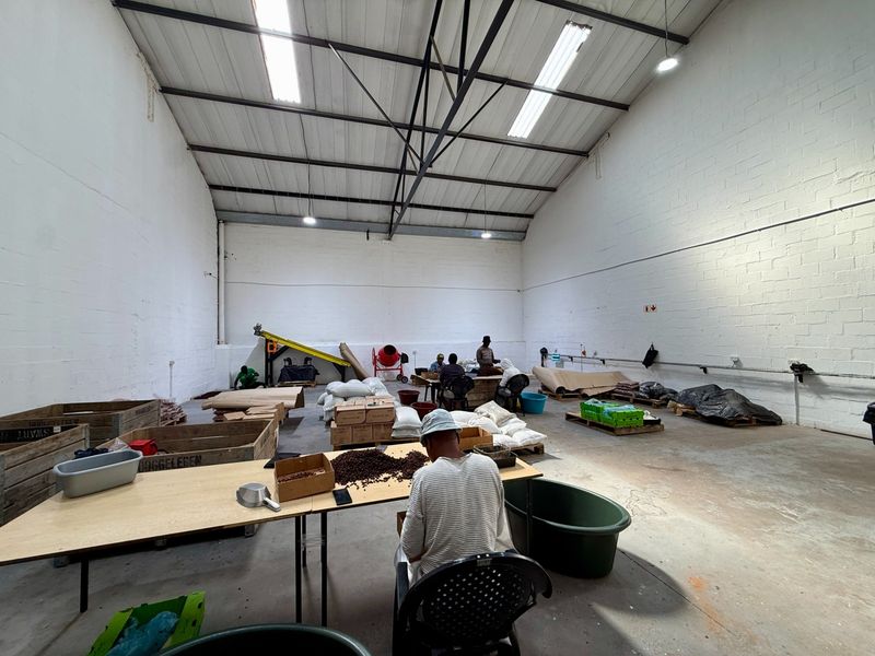 Spacious industrial warehouse unit featuring high ceilings with exposed steel trusses, durable concrete flooring, and functional fluorescent lighting, suitable for various commercial operations.