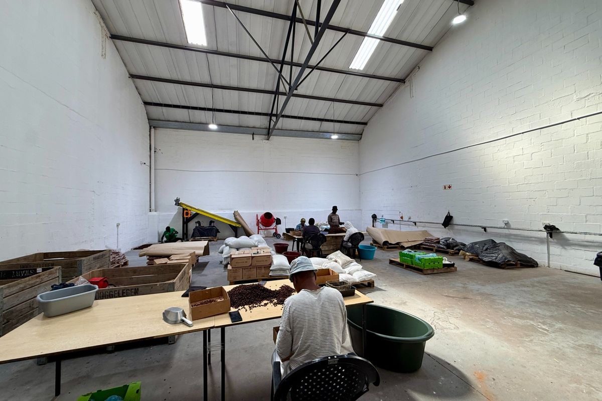Spacious industrial warehouse unit featuring high ceilings with exposed steel trusses, durable concrete flooring, and functional fluorescent lighting, suitable for various commercial operations.