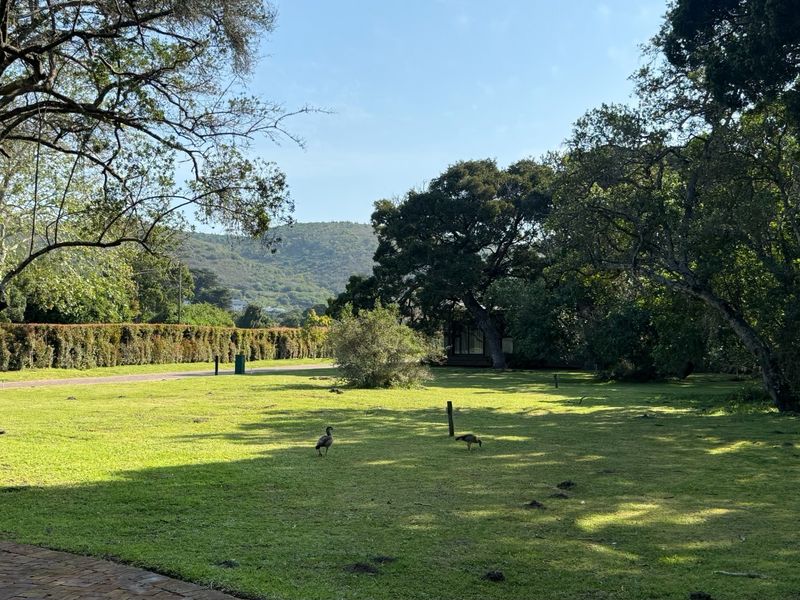 A spacious, well-maintained residential garden featuring mature trees, established hedging, and a paved border, offering a peaceful outdoor setting.