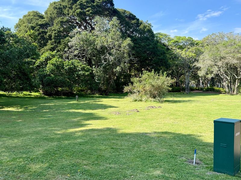 A spacious, well-maintained residential plot featuring expansive green lawns and mature trees, providing a serene and private outdoor setting.