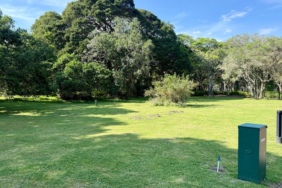 A spacious, well-maintained residential plot featuring expansive green lawns and mature trees, providing a serene and private outdoor setting.