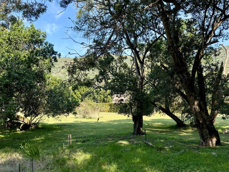 A spacious, level residential plot featuring established mature trees and a well-maintained grass lawn, offering a peaceful natural setting.