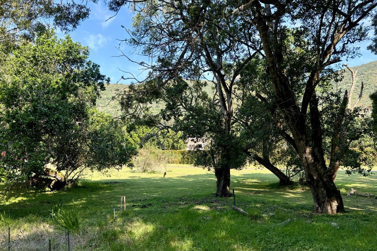A spacious, level residential plot featuring established mature trees and a well-maintained grass lawn, offering a peaceful natural setting.