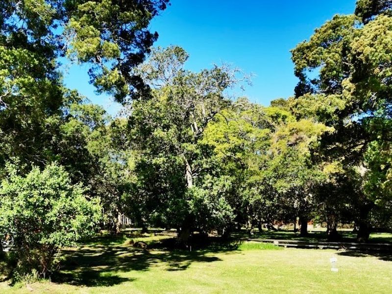 A peaceful, well-established garden area featuring mature trees and a maintained lawn, offering a serene outdoor setting.