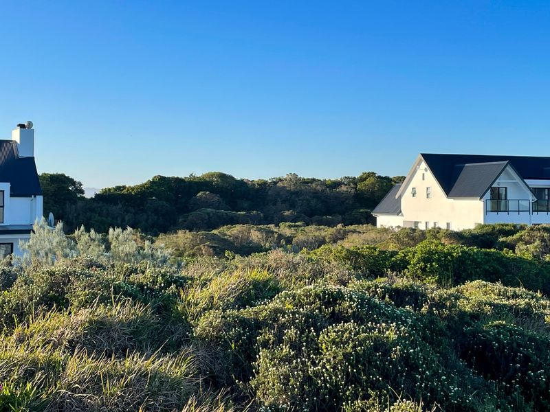 A scenic view of the surrounding residential landscape featuring native coastal vegetation and neighboring properties under a clear blue sky.