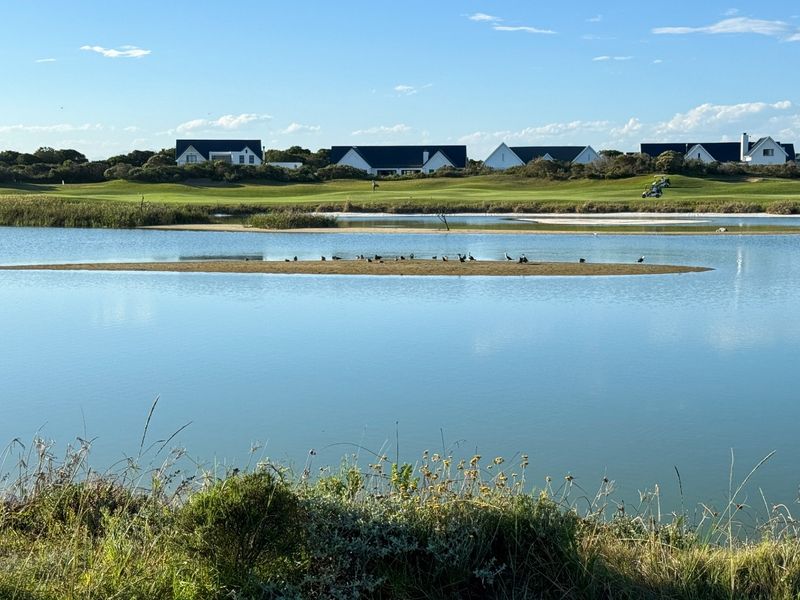 A scenic view overlooking a tranquil lake with a golf course and residential properties in the background.