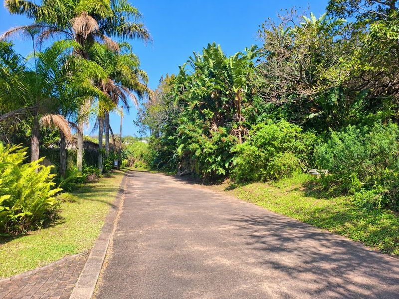 A view of a paved residential driveway lined with mature trees and lush greenery, providing access to the property.