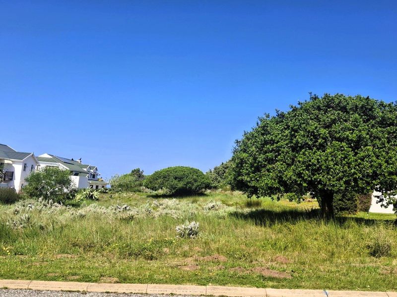 A view of a vacant residential plot featuring established trees and natural vegetation, situated adjacent to existing residential properties.