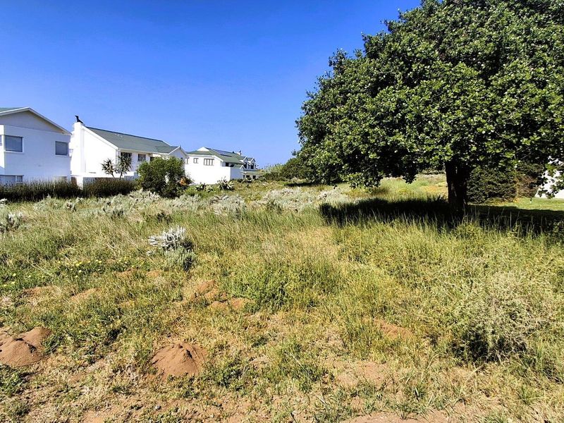 A view of the vacant residential land featuring natural vegetation and a mature tree, with neighboring residential properties visible in the background.