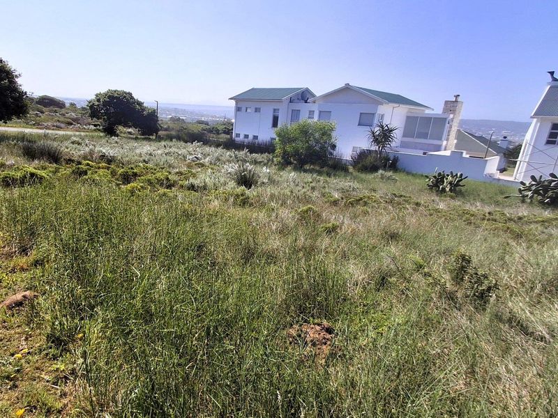 A view of a vacant residential plot featuring natural vegetation with neighboring properties visible in the background.