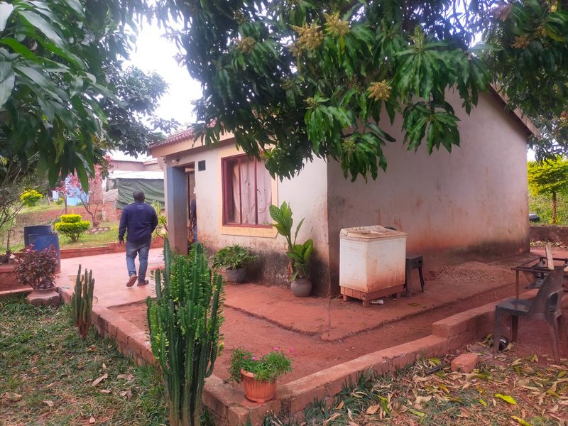 Rear view of a residential house featuring a concrete patio area and exterior wall surfaces showing signs of wear and staining.