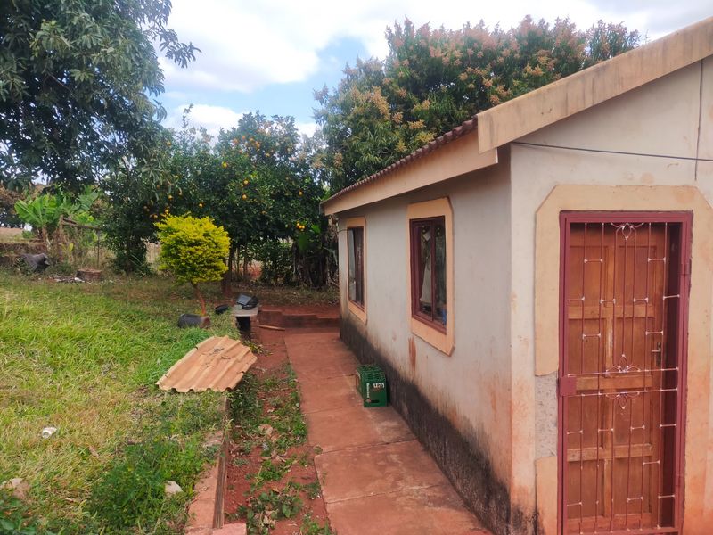 Rear view of the property showing a paved walkway, exterior wall with security gate, and surrounding garden area.