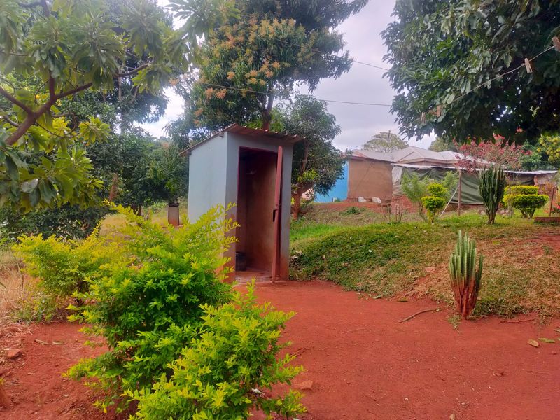 A view of a garden area featuring mature trees, shrubs, and a small detached outdoor structure.