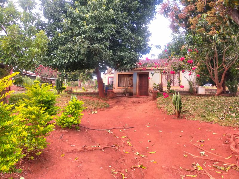 A front view of a modest single-story house featuring a tiled roof, timber entrance door, and established garden with mature trees.