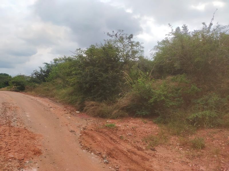 A view of an unpaved road bordering a vacant residential plot with dense native vegetation and natural terrain.