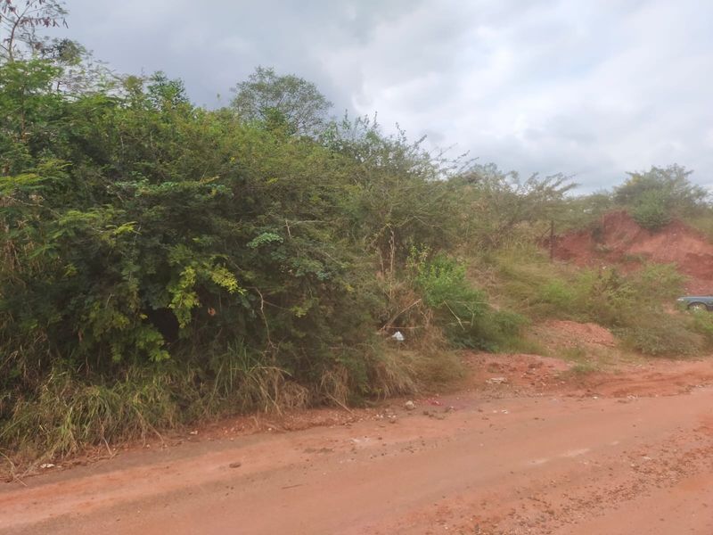 A view of an undeveloped residential plot featuring native vegetation and direct access from an unpaved dirt road.