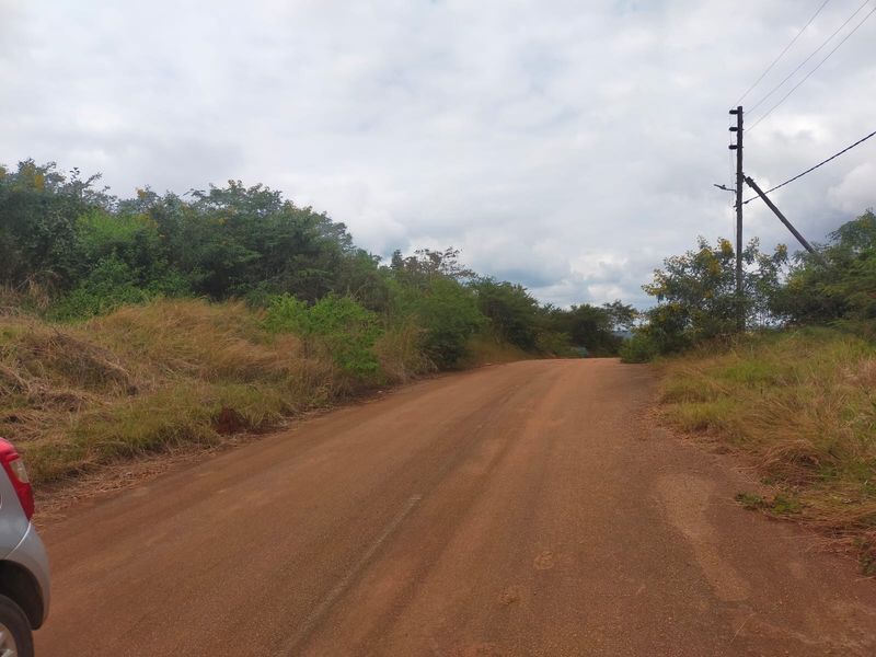 A view of an unpaved dirt road with surrounding natural vegetation and an overhead utility pole.