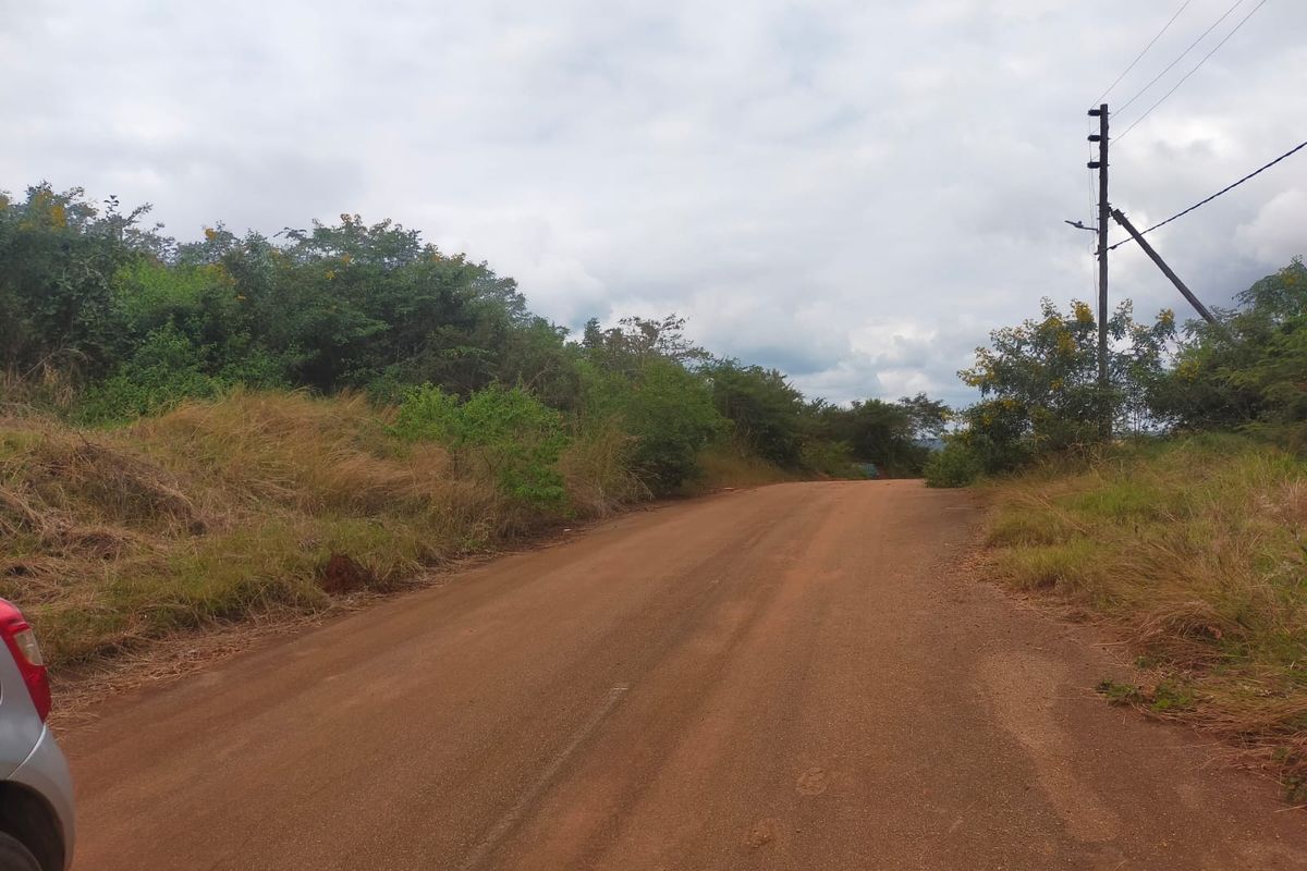 A view of an unpaved dirt road with surrounding natural vegetation and an overhead utility pole.