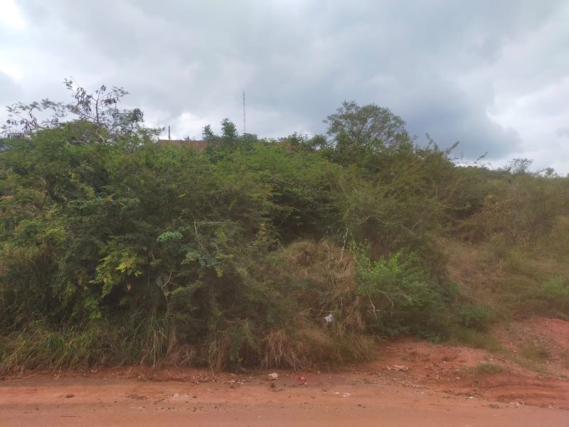 A view of an undeveloped residential plot featuring dense native vegetation and direct access from an unpaved dirt road.