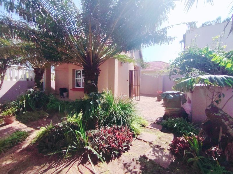 A rear garden area featuring a paved patio, established palm trees, and perimeter walling, providing a private outdoor space.