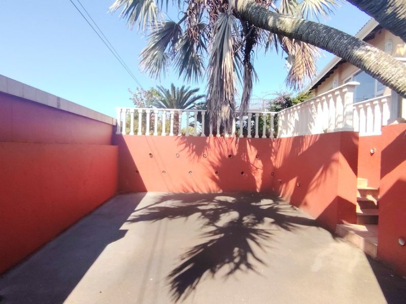 A paved rear courtyard area featuring a retaining wall with balustrade and mature palm tree, offering a private outdoor space.