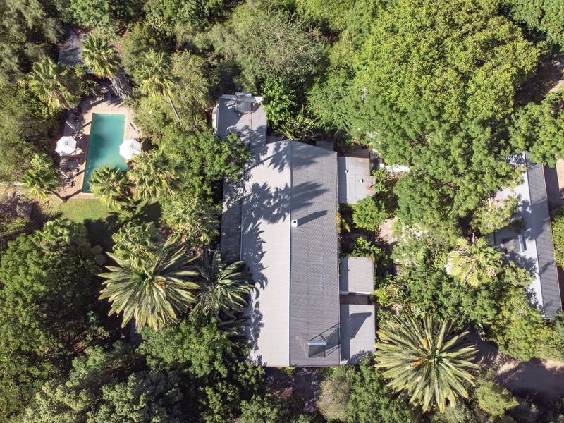 Aerial view of a farm property featuring a main residence with a metal roof, solar water heater, and a private swimming pool set in greenery.