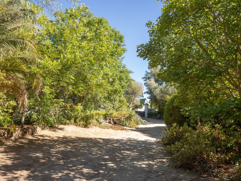 A scenic dirt driveway lined with mature trees and established garden greenery leading towards the property entrance.