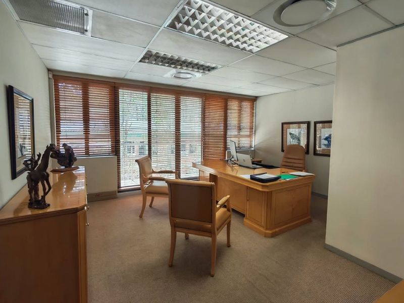 A professional office space featuring a suspended ceiling with recessed lighting, carpeted flooring, and large windows fitted with wooden venetian blinds.