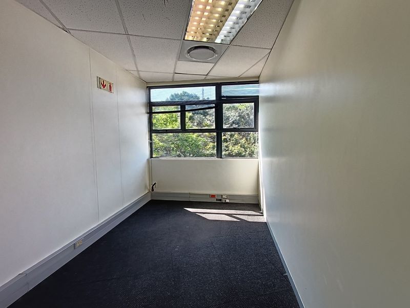 A vacant, functional office space featuring a suspended ceiling, recessed lighting, carpeted flooring, and large windows providing natural light.