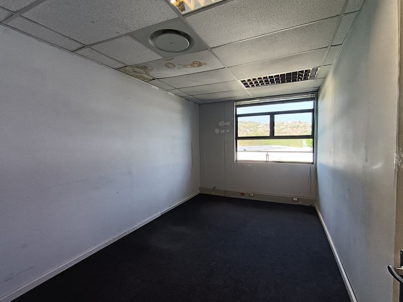 An empty office space featuring a suspended ceiling, carpeted flooring, and a large window with natural light.