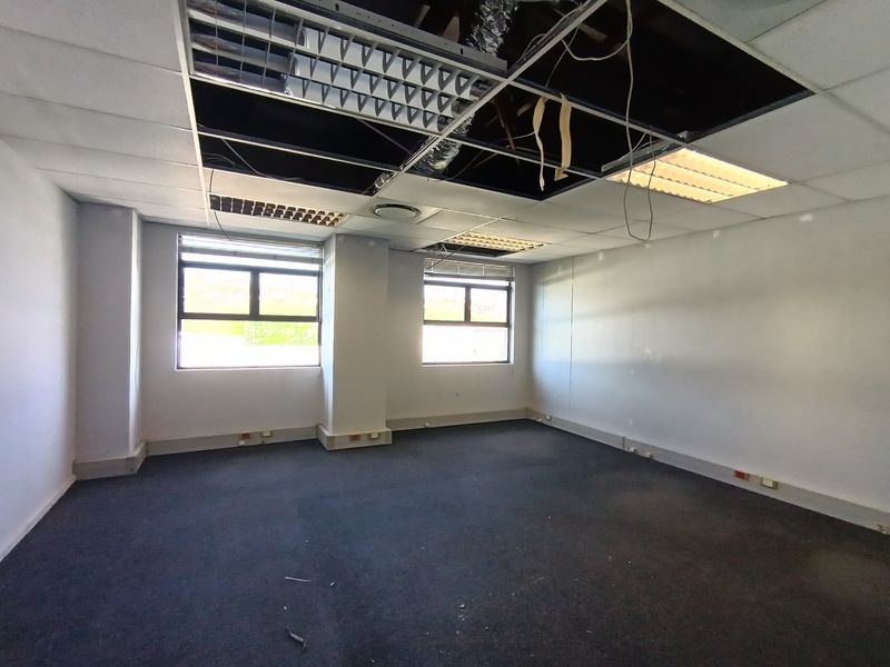 An empty office space featuring large windows, carpeted flooring, and a damaged suspended ceiling requiring repair and refurbishment.