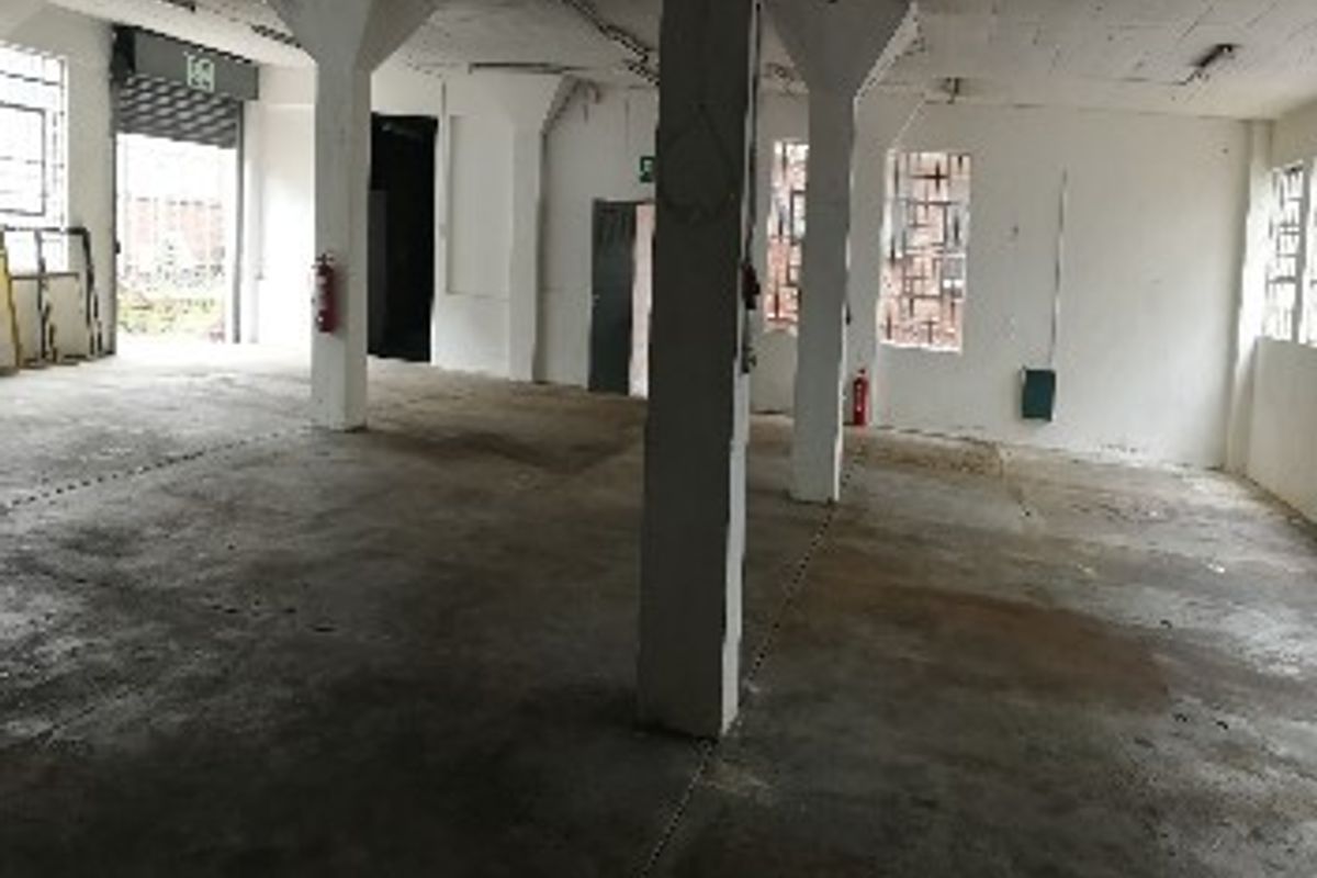 An open-plan office space featuring exposed concrete columns, industrial concrete flooring, and a roller shutter door, offering a versatile blank canvas for commercial use.